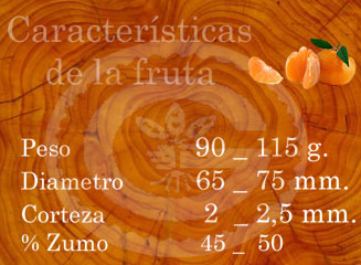 Arrufatina - Características de la fruta