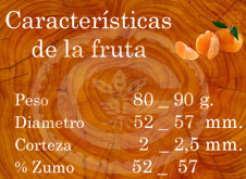 Clementina Fina - Características de la fruta