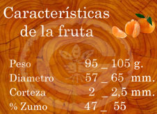 Clemenules - Características de la fruta