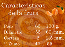Hernandina - Características de la fruta