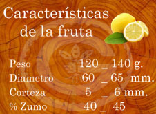 Eureka - Características de la fruta