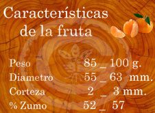 Marisol - Características de la fruta