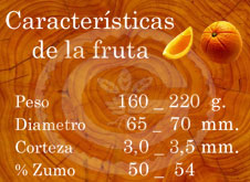 Navelate - Características de la fruta