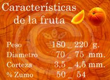 Navelina - Características de la fruta
