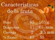 Orogrande - Características de la fruta