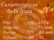 Ortanique - Características de la fruta