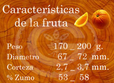 Valencia Late - Características de la fruta