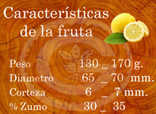 Verna - Características de la fruta